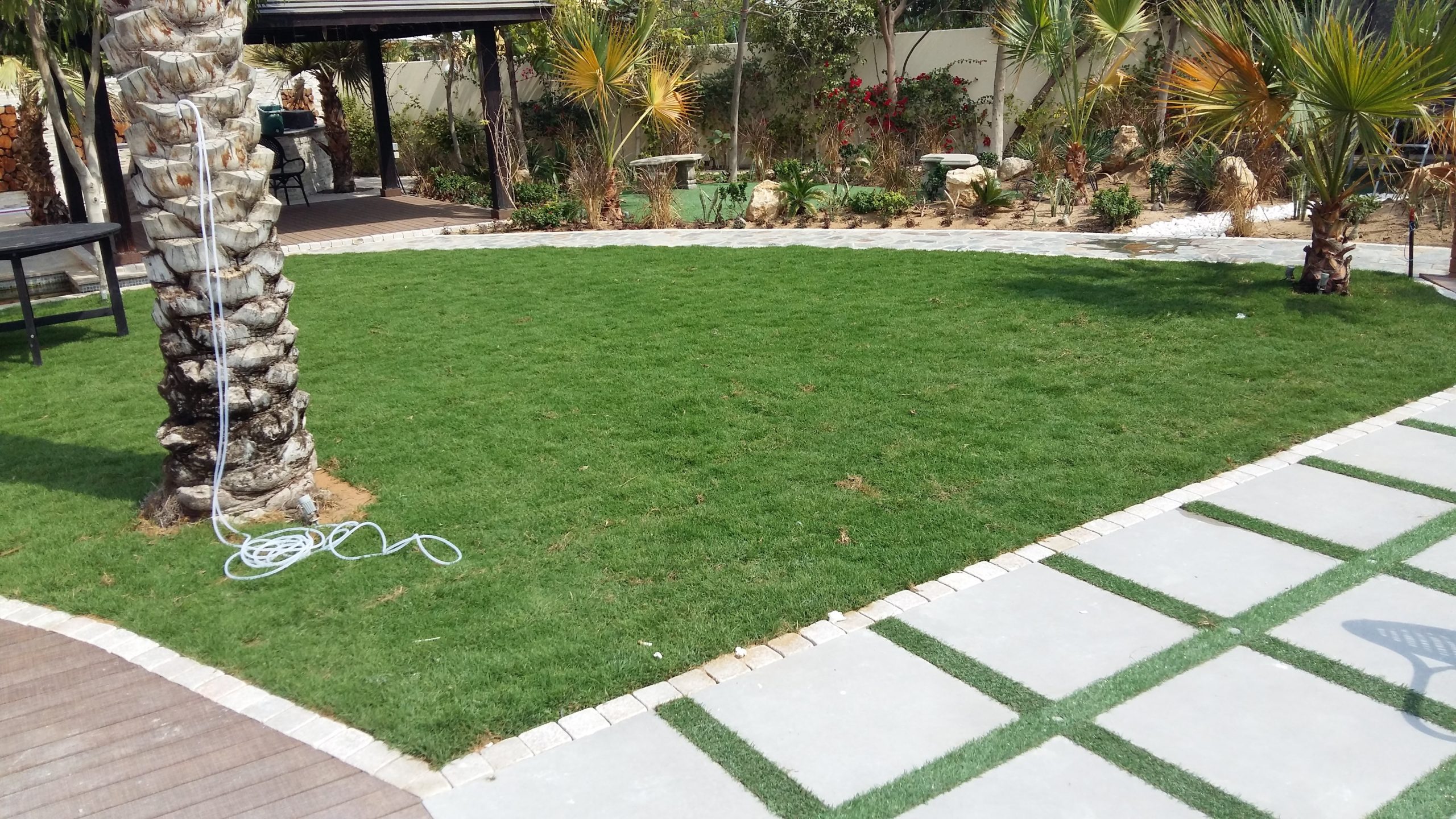 Expert Garden Maintenance Company in Dubai
