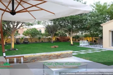 affordable Landscaping Company in Dubai